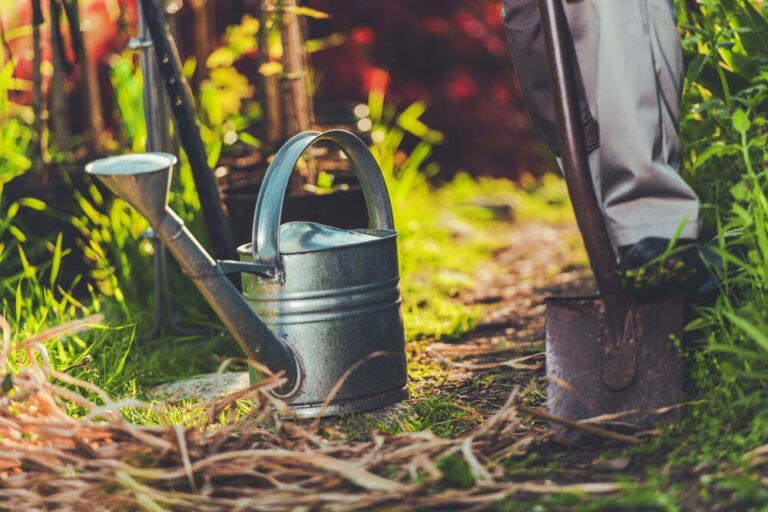 Medium-Gardening &#8211; Watering can