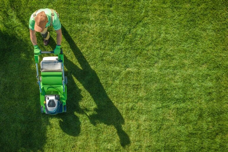 Medium-Seezon &#8211; A guide to lawn care 1 &#8211; Mow lawn (1)