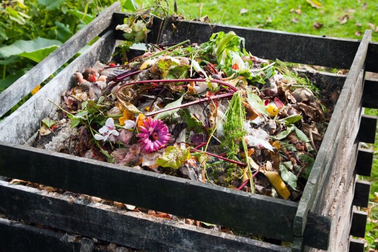 Medium-Seezon &#8211; What is composting 1 (1)