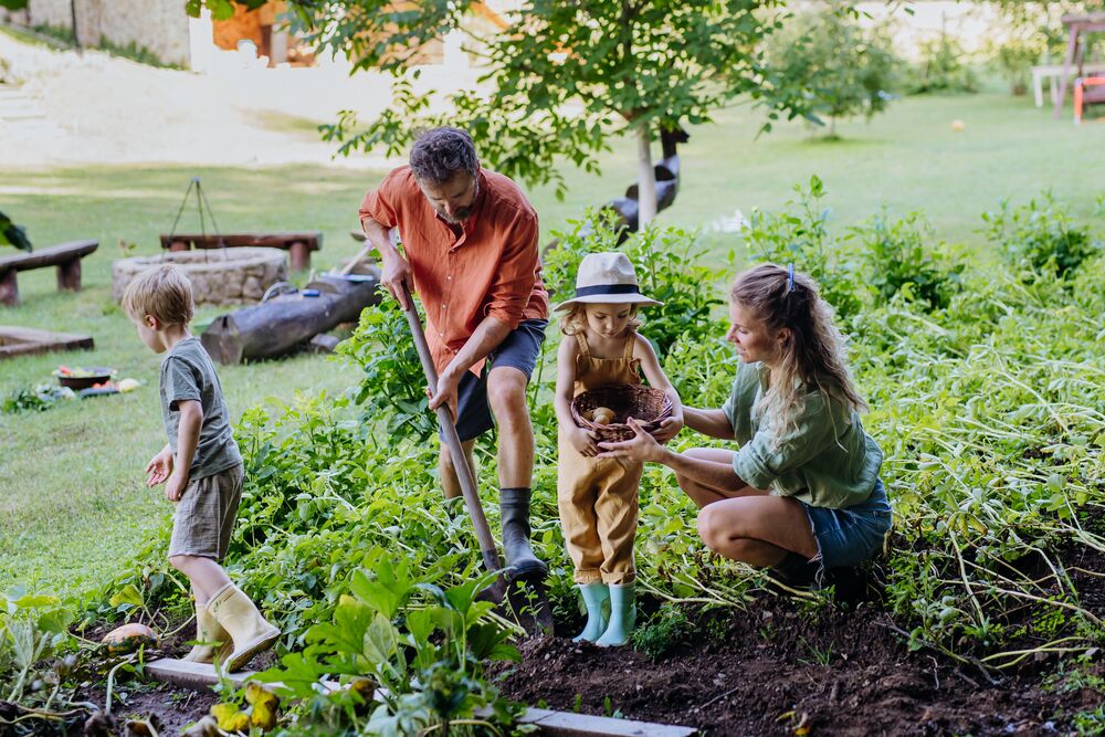 Medium-Seezon &#8211; What is eco gardening 1- family