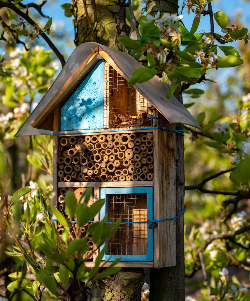 Medium-Seezon - Why and how to garden in favor of biodiversity 3 - insect hotel
