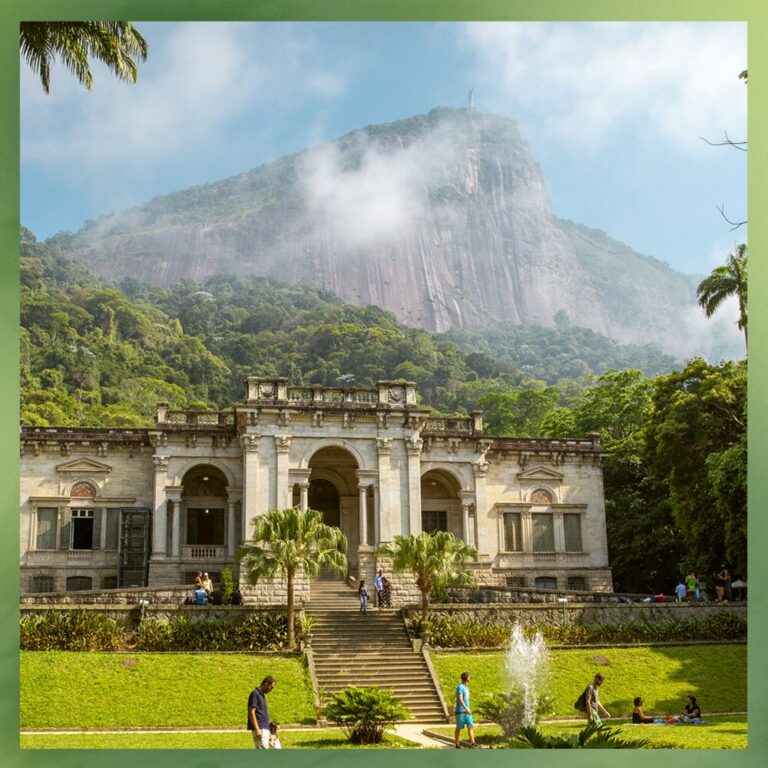 Medium-botanical garden of Rio de Janeiro 1