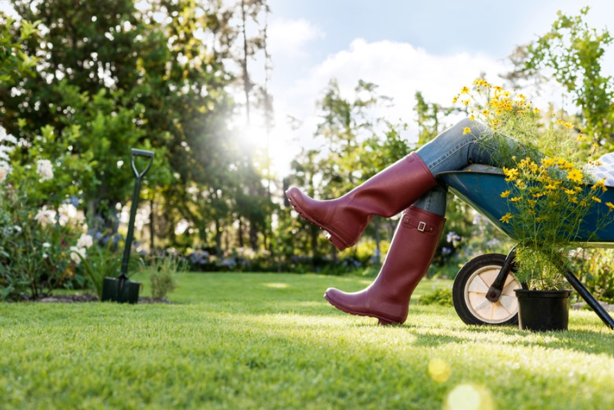 Essentiele tuinbenodigdheden