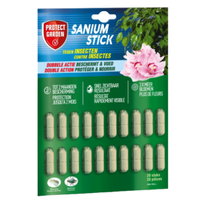 Sanium Stick
