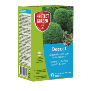 Desect Buxusmot