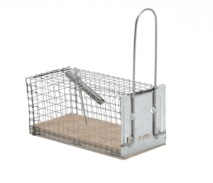 Cage piège à souris