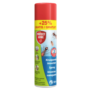 Spray contre les insectes rampants